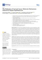 The Hallmarks of Cervical Cancer: Molecular Mechanisms Induced by Human Papillomavirus