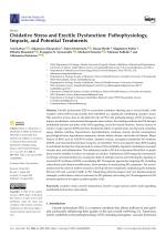 Oxidative Stress and Erectile Dysfunction: Pathophysiology, Impacts, and Potential Treatments