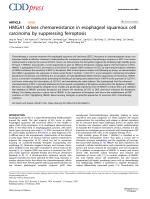 HMGA1 drives chemoresistance in esophageal squamous cell carcinoma by suppressing ferroptosis