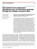 Narrowband room temperature phosphorescence of closed-loop molecules through the multiple resonance effect