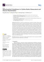 Mitochondrial Glutathione in Cellular Redox Homeostasis and Disease Manifestation
