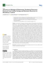 Advances in Biological Wastewater Treatment Processes: Focus on Low-Carbon Energy and Resource Recovery in Biorefinery Context