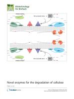 Novel enzymes for the degradation of cellulose