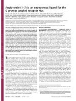 Angiotensin-(1–7) is an endogenous ligand for the G protein-coupled receptor Mas
