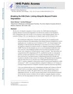 Breaking the K48-Chain: Linking Ubiquitin Beyond Protein Degradation