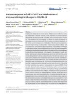 Immune response to SARS-CoV-2 and mechanisms of immunopathological changes in COVID-19