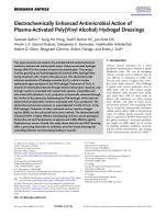 Electrochemically Enhanced Antimicrobial Action of Plasma-Activated Poly(Vinyl Alcohol) Hydrogel Dressings