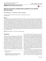 Molecular mechanisms of hepatic lipid accumulation in non-alcoholic fatty liver disease