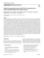 Pituitary neuroendocrine tumors with PIT1/SF1 co-expression show distinct clinicopathological and molecular features