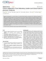 Cancer epigenetics: from laboratory studies and clinical trials to precision medicine