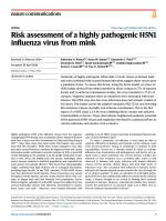 Risk assessment of a highly pathogenic H5N1 influenza virus from mink