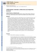 CXCR3 ligands: redundant, collaborative and antagonistic functions