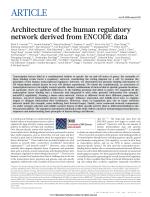 Architecture of the human regulatory network derived from ENCODE data