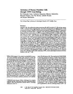 Activation of Human Dendritic Cells through CD40 Cross-linking