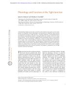 Physiology and Function of the Tight Junction