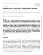 Root responses to cadmium in the rhizosphere: a review