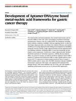Development of Aptamer-DNAzyme based metal-nucleic acid frameworks for gastric cancer therapy