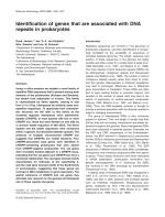 Identification of genes that are associated with DNA repeats in prokaryotes