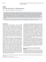 NF-κB signaling in inflammation