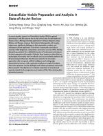 Extracellular Vesicle Preparation and Analysis: A State-of-the-Art Review