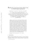LKM-UNet: Large Kernel Vision Mamba UNet for Medical Image Segmentation