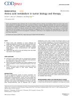 Amino acid metabolism in tumor biology and therapy