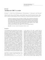 Artefacts in CBCT: a review