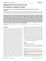 Mapping the Structural Core of Human Cerebral Cortex