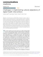 Challenges in implementing cultural adaptations of digital health interventions