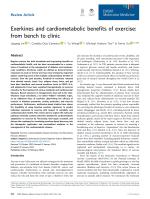 Exerkines and cardiometabolic benefits of exercise: from bench to clinic