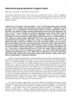 Hierarchical group dynamics in pigeon flocks