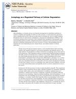 Autophagy as a Regulated Pathway of Cellular Degradation