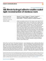 Silk fibroin hydrogel adhesive enables sealed-tight reconstruction of meniscus tears