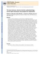 The knee meniscus: structure-function, pathophysiology, current repair techniques, and prospects for regeneration