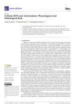 Cellular ROS and Antioxidants: Physiological and Pathological Role