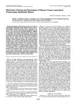 Molecular Cloning and Expression of Human Tumor-associated Polymorphic Epithelial Mucin