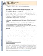 The p Factor: One General Psychopathology Factor in the Structure of Psychiatric Disorders?