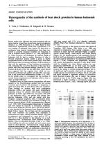 Heterogeneity of the synthesis of heat shock proteins in human leukaemic cells
