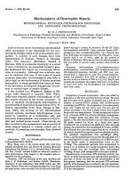 Biochemistry of Dystrophic Muscle MITOCHONDRIAL SUCCINATE-TETRAZOLIUM REDUCTASE AND ADENOSINE TRIPHOSPHATASE