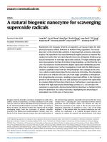 A natural biogenic nanozyme for scavenging superoxide radicals
