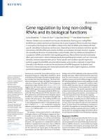 Gene regulation by long non-coding RNAs and its biological functions