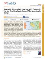 Magnetic Microrobot Swarms with Polymeric Hands Catching Bacteria and Microplastics in Water