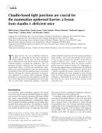 Claudin-based tight junctions are crucial for the mammalian epidermal barrier: a lesson from claudin-1-deficient mice
