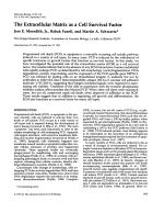 The Extracellular Matrix as a Cell Survival Factor