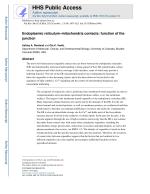 Endoplasmic reticulum-mitochondria contacts: function of the junction
