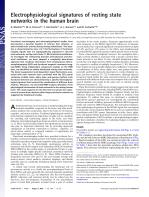 Electrophysiological signatures of resting state networks in the human brain