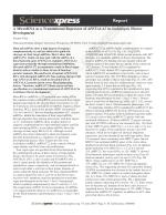 A MicroRNA as a Translational Repressor of APETALA2 in Arabidopsis Flower Development