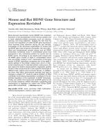 Mouse and Rat BDNF Gene Structure and Expression Revisited