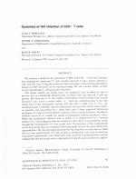 Dynamics of HIV Infection of CD4+ T cells