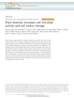Plant diversity increases soil microbial activity and soil carbon storage